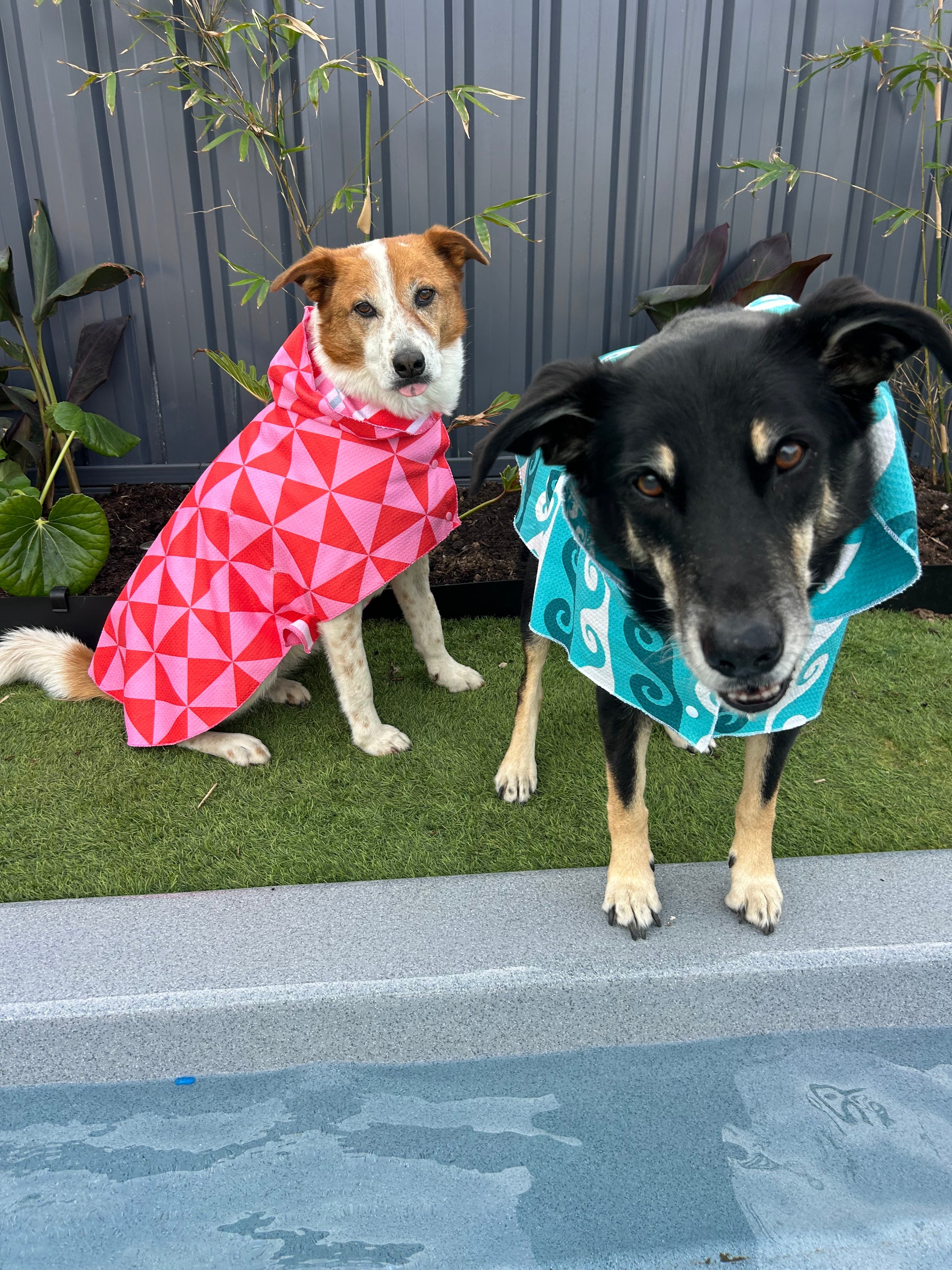 Dog Apparel