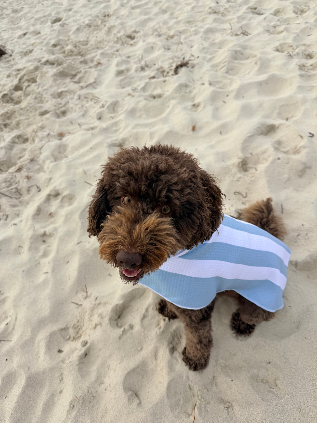 Dog Towel Robe - Blue Stripes
