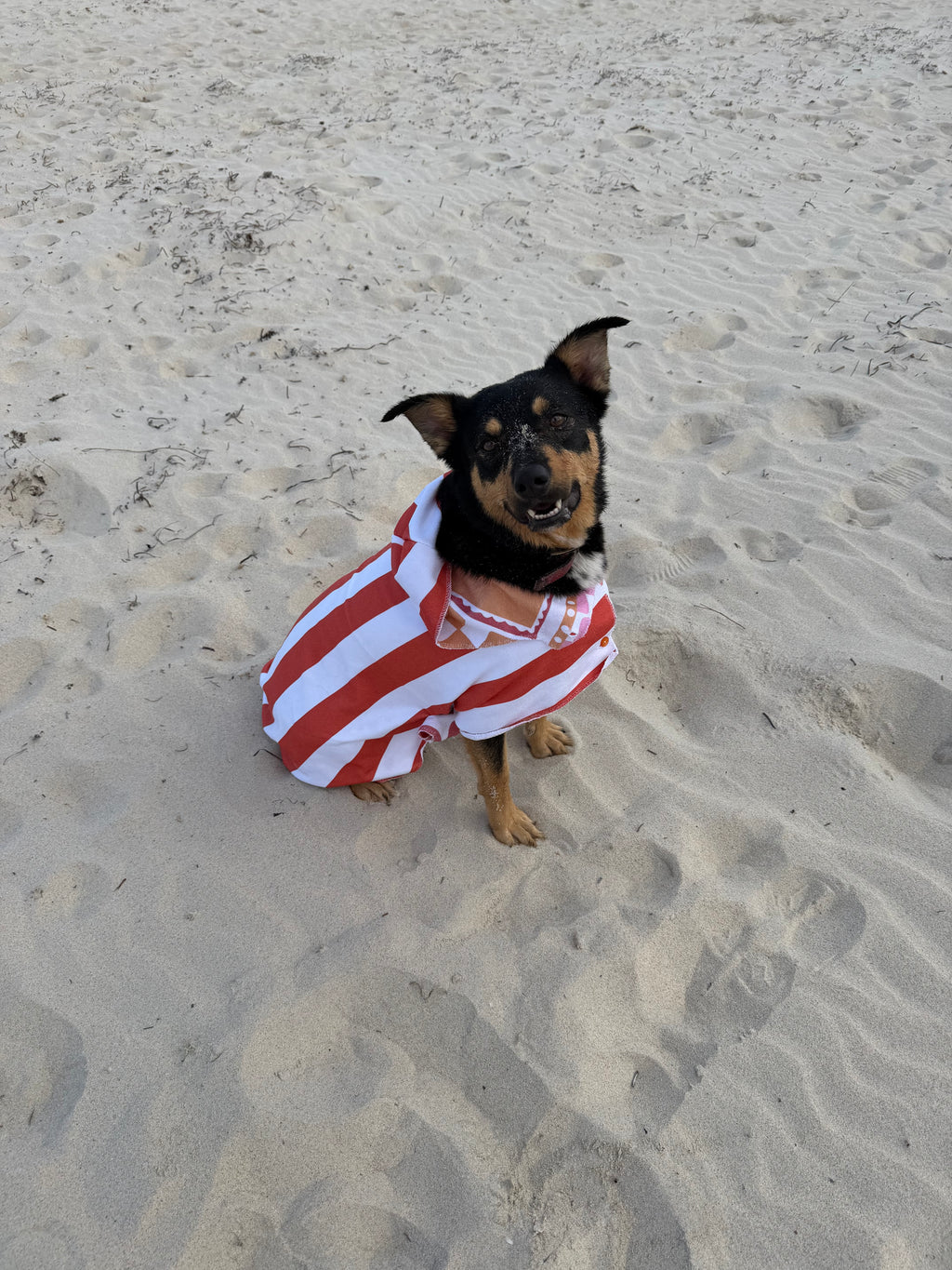 Dog Towel Robe - Orange Striped