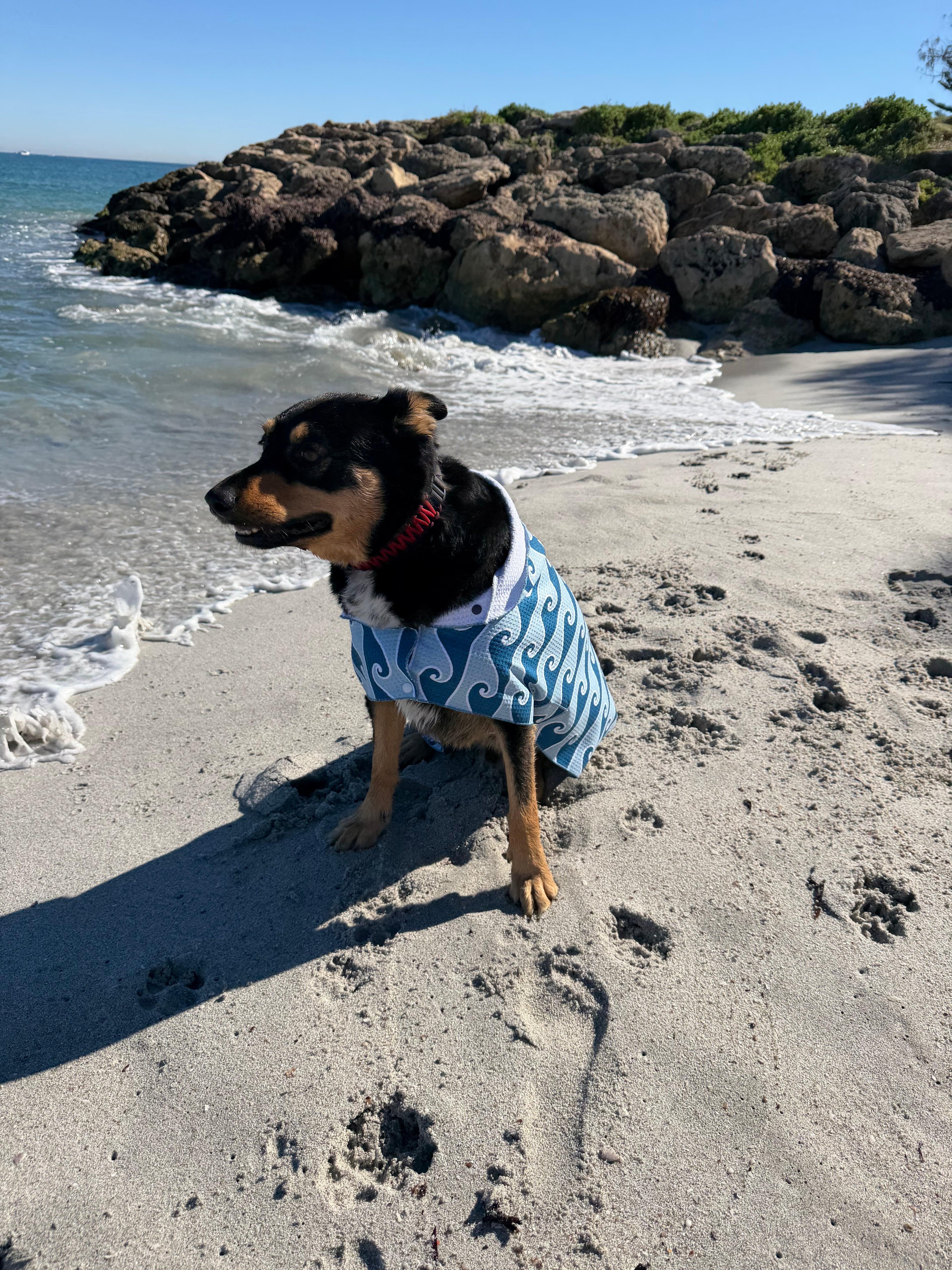 Dog Towel Robe - Waves
