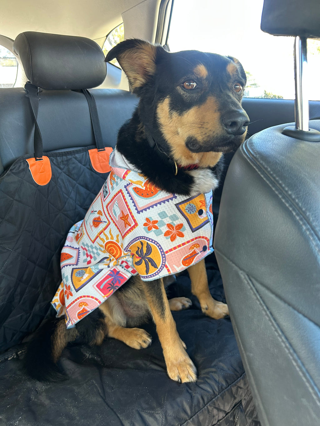 Dog Towel Robe - Summertime