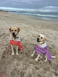 Dog Towel Robe - Purple Spotted Stripes