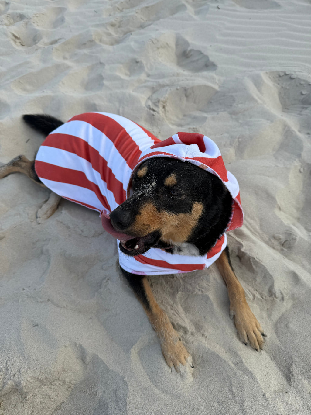 Dog Towel Robe - Orange Striped
