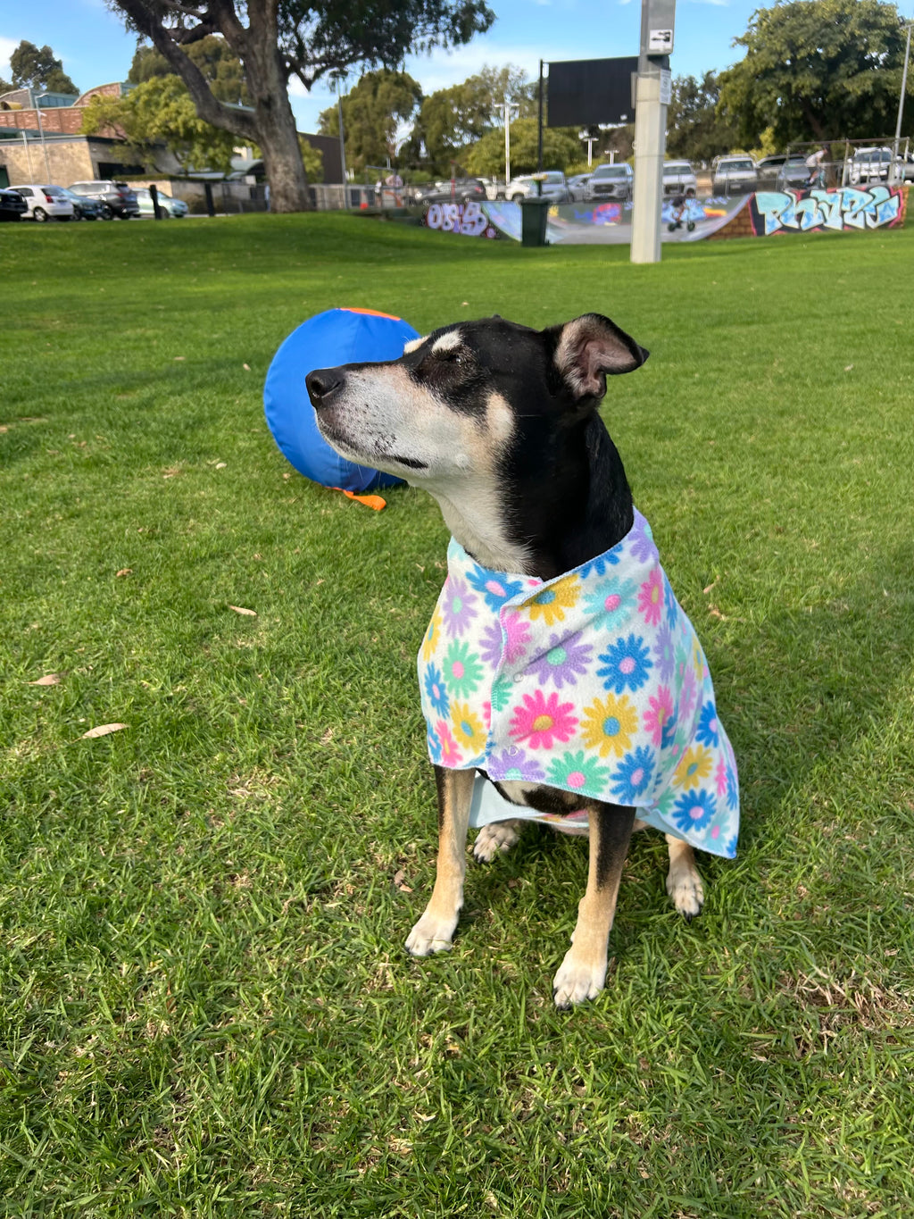 Dog Jumpers - Flower Power