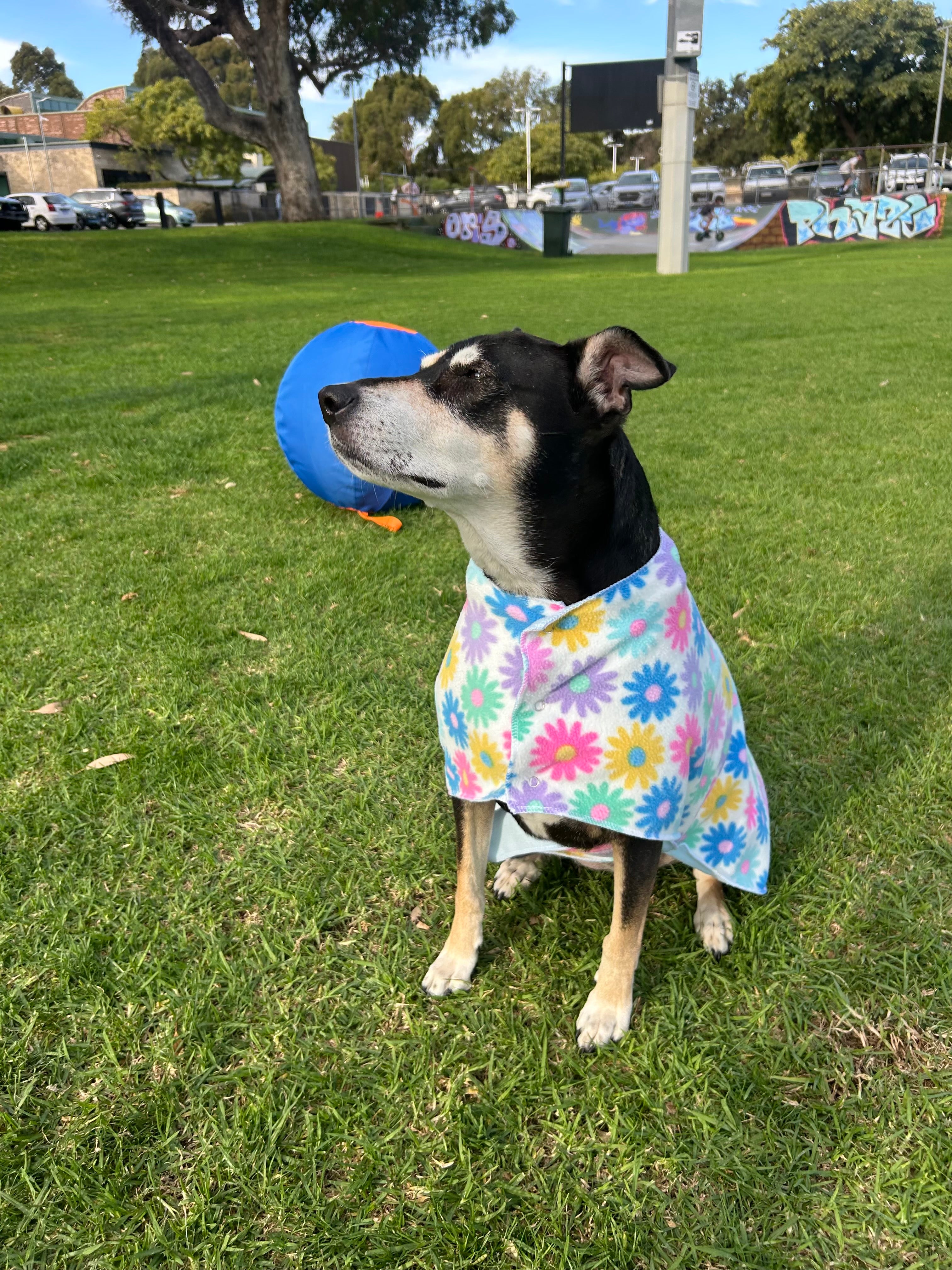 Dog Jumpers - Flower Power