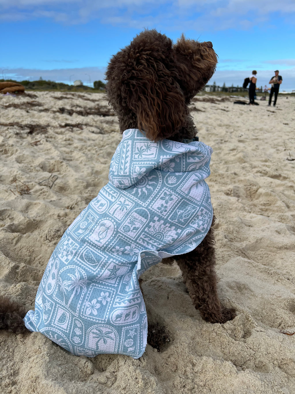 Dog Towel Robe - Postcards