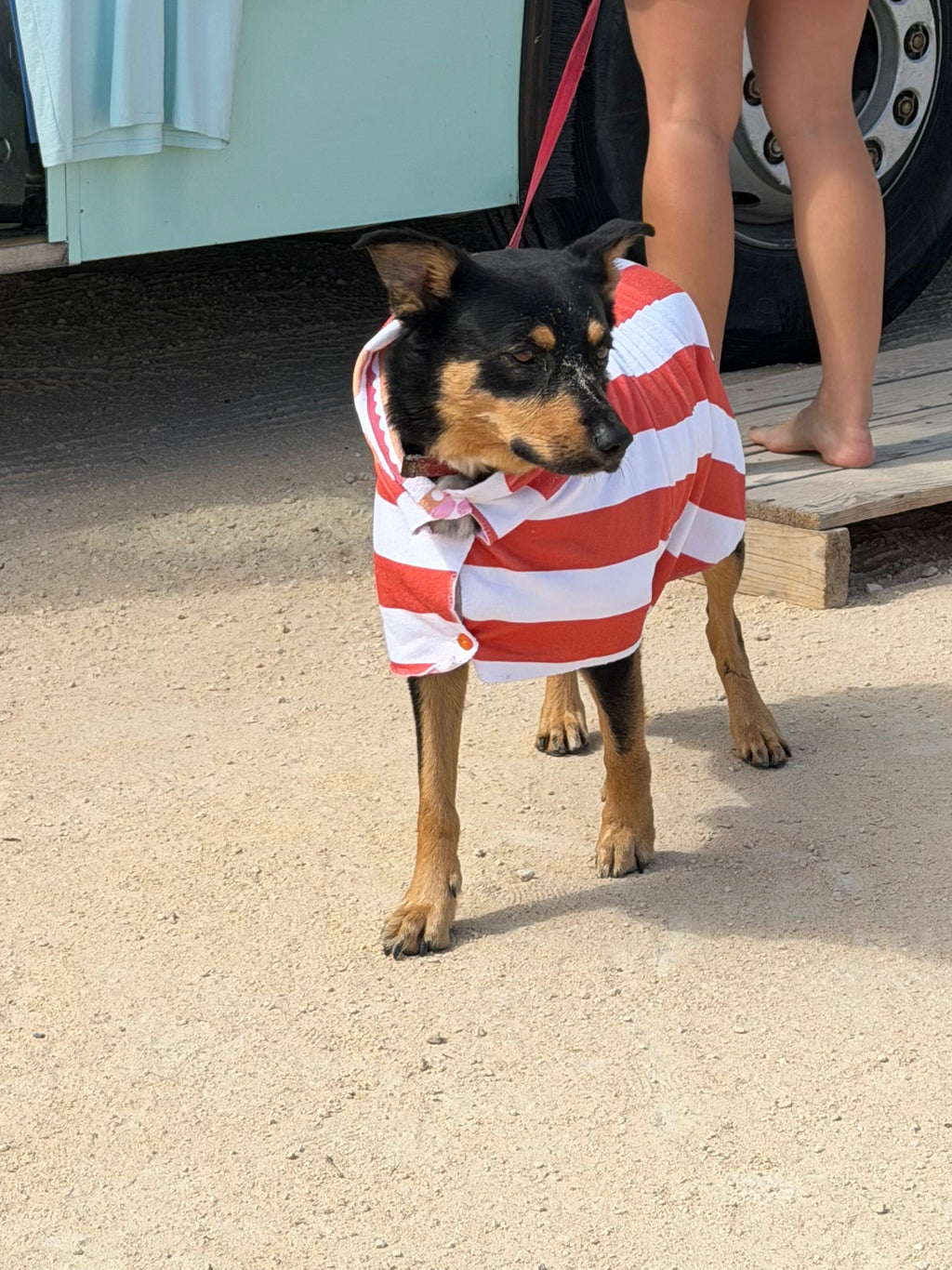 Dog Towel Robe - Orange Striped