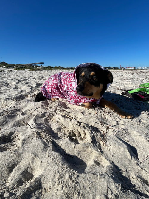 Dog Towel Robe - Postcards Maroon