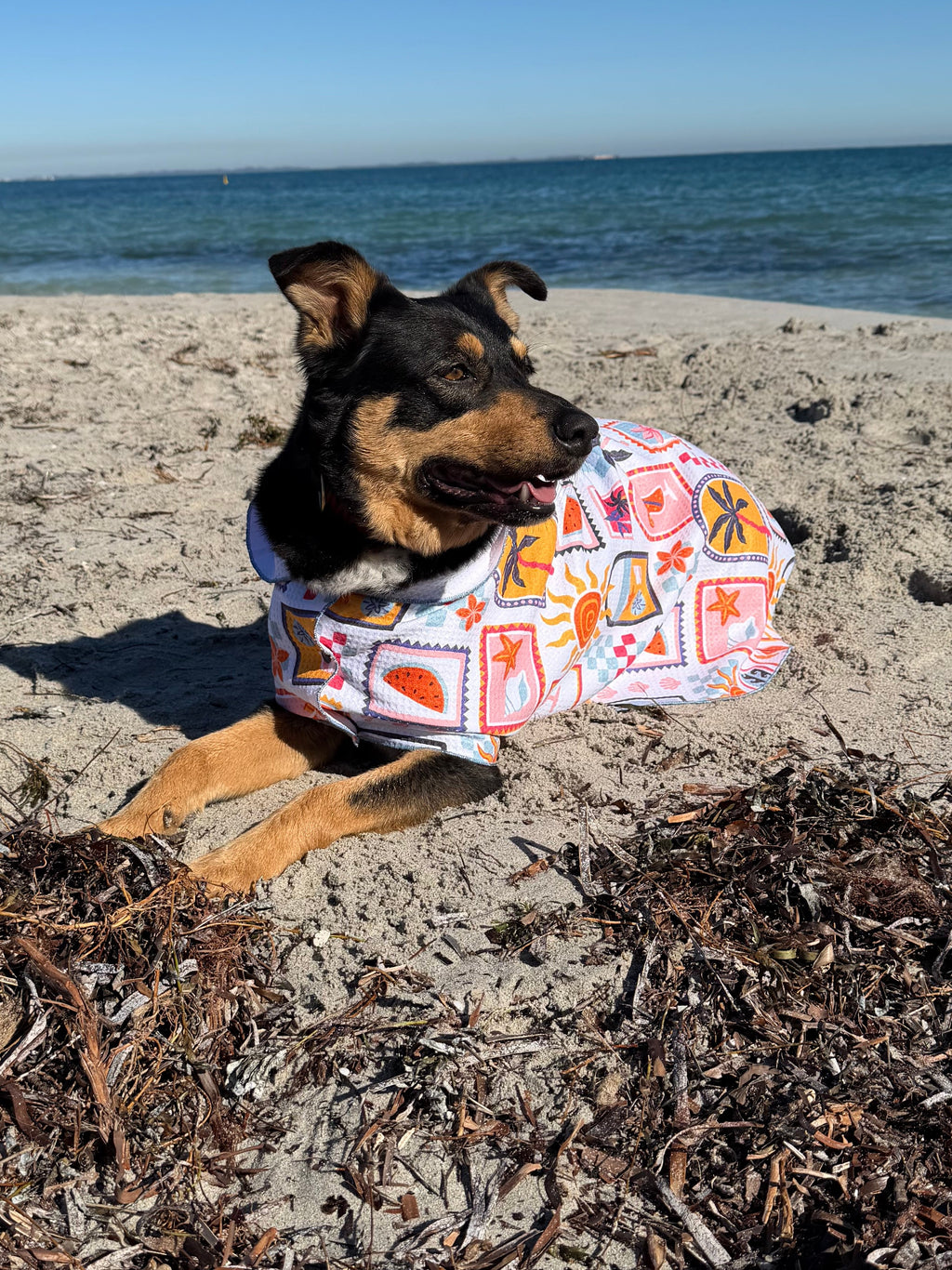 Dog Towel Robe - Summertime