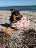 Dog Towel Robe - Summertime
