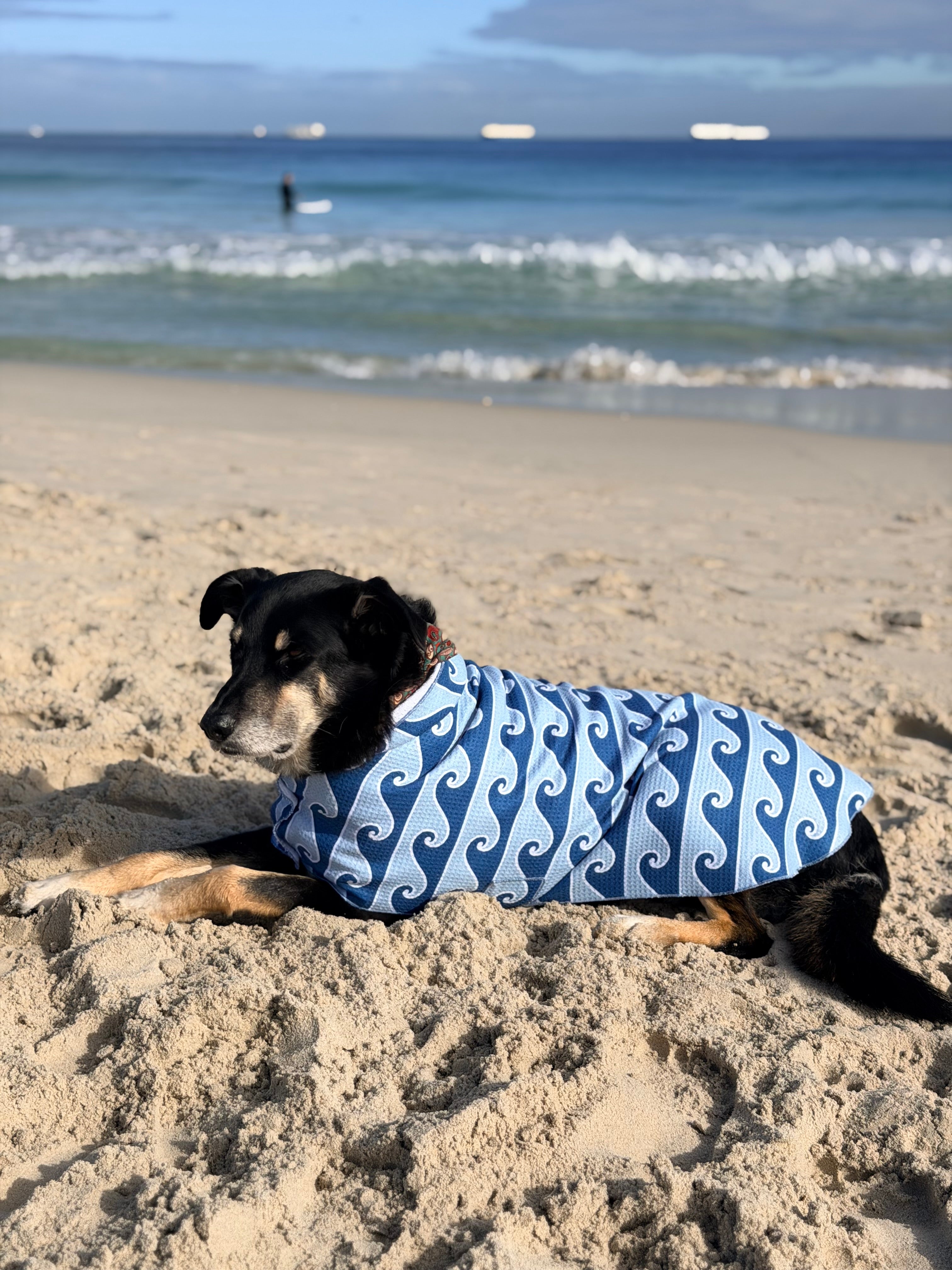 Dog Towel Robe - Waves